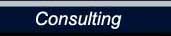 Consulting
